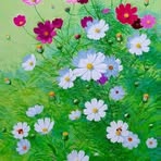 Norma Ramirez - Facebook