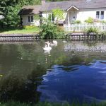 Norma Read - @norma.read.9 - Instagram