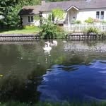 norma read - @ruthadam2 - Instagram