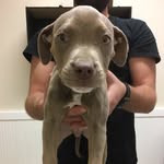 Walter+Riggins+Norma - @walterrigginsnorma - Instagram