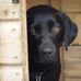 Norma Ritchie - Facebook