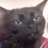 Norman Ritter - @norman..ritter - TikTok