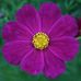 Norma Robb - Facebook