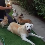 GEN Norman Rockefeller Rice - @general.norman.rocks - Instagram