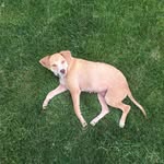 Norma Rockwell Anderson - @normarockwell - Instagram