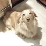 Norman Rock Bell - @norman_rock_bell - Instagram