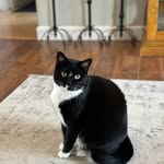 Norma Rollins Lohr - @norma_lohr - Instagram