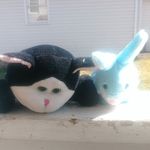 Norma Rooney - @norma.rooney.5036 - Instagram