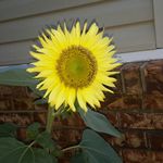 Norma Rooney - @normaroo2018 - Instagram