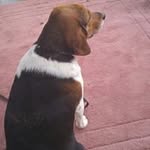 Norman Roush - @normanroush - Instagram