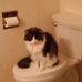 Norma Sanderson - Facebook