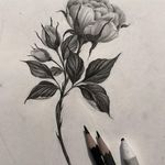Norma Sequeira - @norma.sequeira.3110 - Instagram