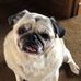 Norman Sessions - Facebook