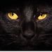 Norma Sexton - Facebook