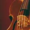 normashellie907 - @normashellie907 - TikTok