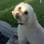 Norman Shepard - @normanshepard - Instagram