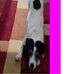 Norma Shore - Facebook