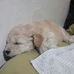 Norma Sica - Facebook