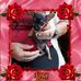 Norma De Sigler - Facebook