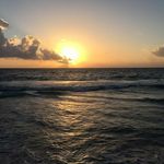 Norma Singer - @normasinger - Instagram