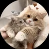 Normans Small - @normans.small - TikTok