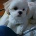 Norma Smith - Facebook