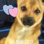 Norma Spano - @spanonorma - Instagram