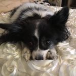 Norma Harris Spears - @normaharrisspears - Instagram