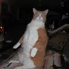 normanfspruill - @normanfspruill - TikTok