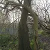 naromastclair - @naromastclair - TikTok