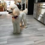 Norma Stern - @normiefarley - Instagram