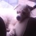 Norma Sickler - Facebook