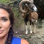 Norman Stringer - @normanstringer6 - Instagram