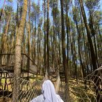 NORMA TANZIELA WIBISANTI - @normatanziel - Instagram