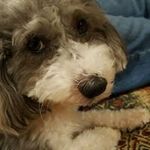 Norma Tenorio - @nt33021 - Instagram