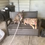 Terry Norman - @terry.norman.75 - Instagram