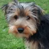 TerryNorma Greenhalgh - @terrynorma.greenh - TikTok