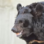 Thaxton - @thaxtonnormand5 - Instagram