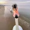 Norman Todd - @norman.todd - TikTok