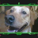 Norma Guadalupe Pino Tomas - @normipino - Instagram