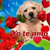 🙏🤗❤️♥️🙏 - @normatomas691 - TikTok