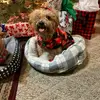Norma - @norma.trevino8 - TikTok