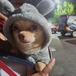 Norma Veloz - @norma.veloz.750 - Instagram