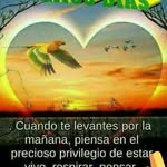 Norma Vergara - @norma.vergara.92317 - Instagram