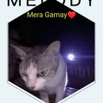 Norma Viesca - Facebook