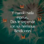 Norma Vitale - @normaermelindavitale - Instagram
