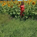 Norma Vitale - @norma.vitale.984 - Instagram