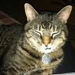 Norma Walters - @grandmanorma5 - Instagram