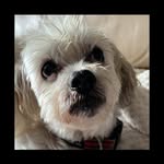 Norma Walton - @normaw713093 - Instagram