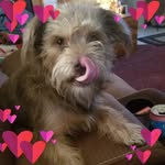 Norma Walton Beach - @hicks1949 - Instagram